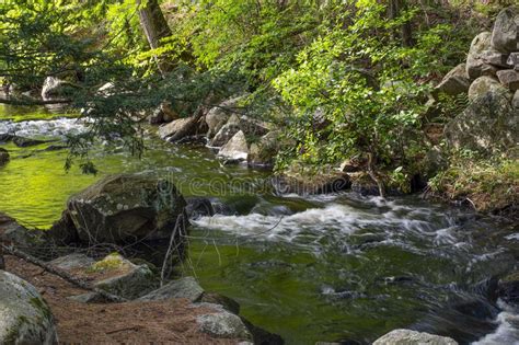 A Stream Flows Through The Wilderness Of New England Stock Photo