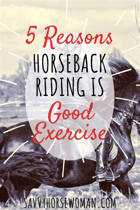 5 Reasons Horseback Riding Is Good Exercise Horseback Riding