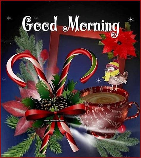 The first recorded 'candy stick' comes from 1837 at an exhibition in massachusetts in the usa. Christmas Candy Cane Good Morning QUote Pictures, Photos ...