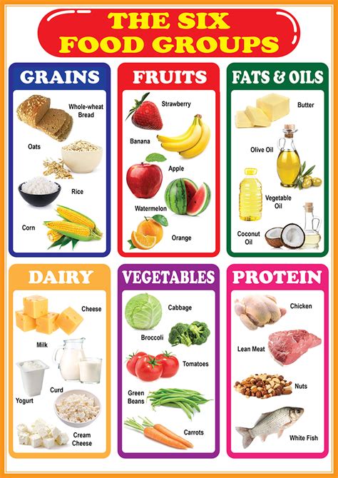 Six Food Groups Educational Chart A4 Size Poster Waterproof Print