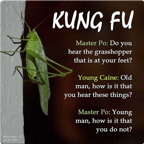Kung Fu Grasshopper Quotes Shortquotescc