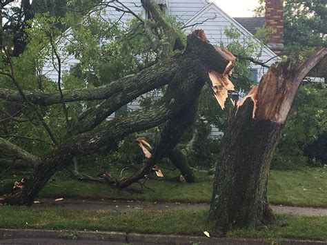 Trees Knocked Down Power Out For Thousands After Storms Blow Through Wrgt