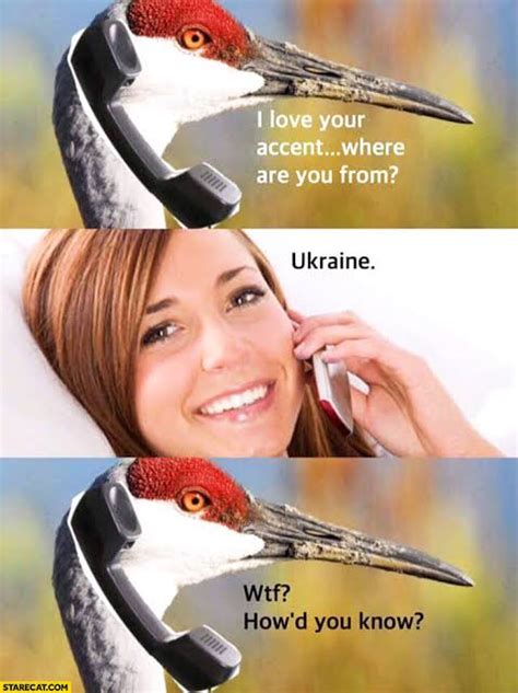 Ukraine Meme I Hope Aloona Understands This Pun Lol Rshowthistoaloona