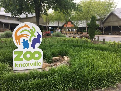 Zoo Knoxville To Require Masks For Entry And Indoor Areas Wate 6 On