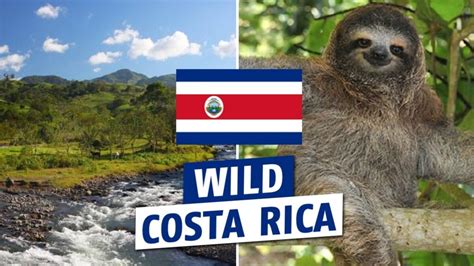 Costa Rica partez à la découverte du côté sauvage du pays avec sa