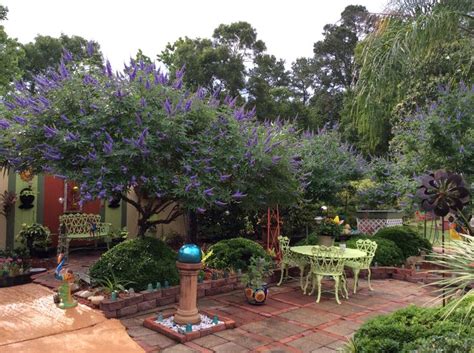Local pros in your area · discover local deals · accurate pricing Vitex trees help make a Garden and painted fence make a ...