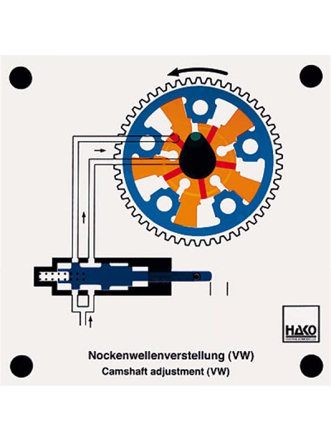 Nockenwellenverstellung Vw C