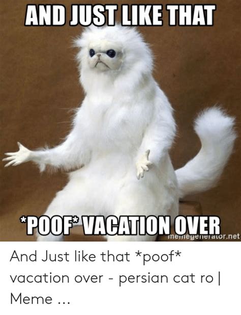 12 When Vacation Is Almost Over Meme Images The O Guide