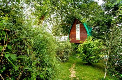 18 Amazing Treehouses We Want To Live In For The Rest Of Our Days Metro News
