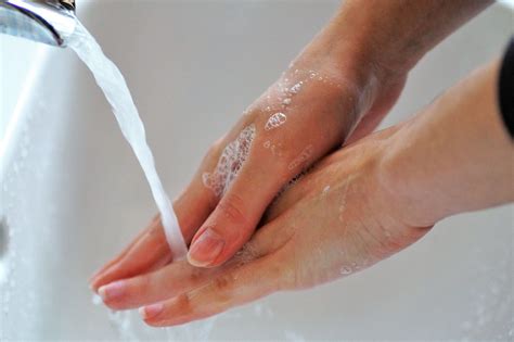 Gunakanlah mangkuk dengan ukuran yang sedang. Tak Hanya Sehabis Keluar Rumah, Ada 5 Waktu Cuci Tangan ...