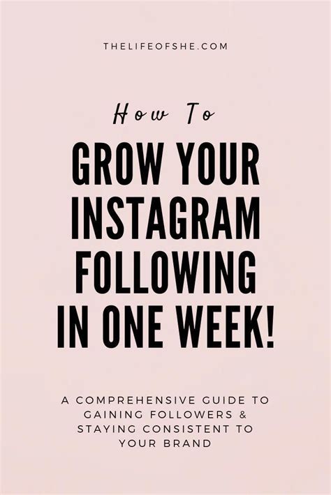 How To Grow Your Instagram Following In One Week The Life Of She