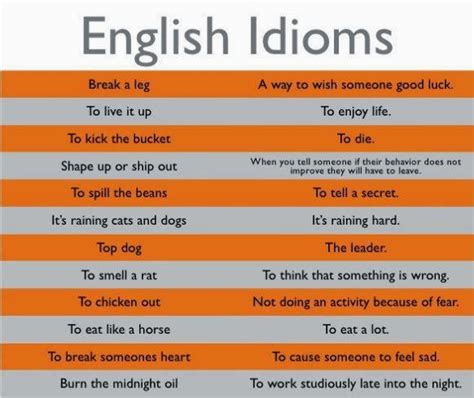 Contoh Idiom Dalam Bahasa Inggris Dan Artinya Berbagai Contoh