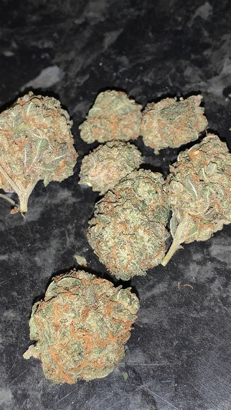 Bit Of Stardawg And Skywalker Og ・ Popularpics ・ Viewer For Reddit