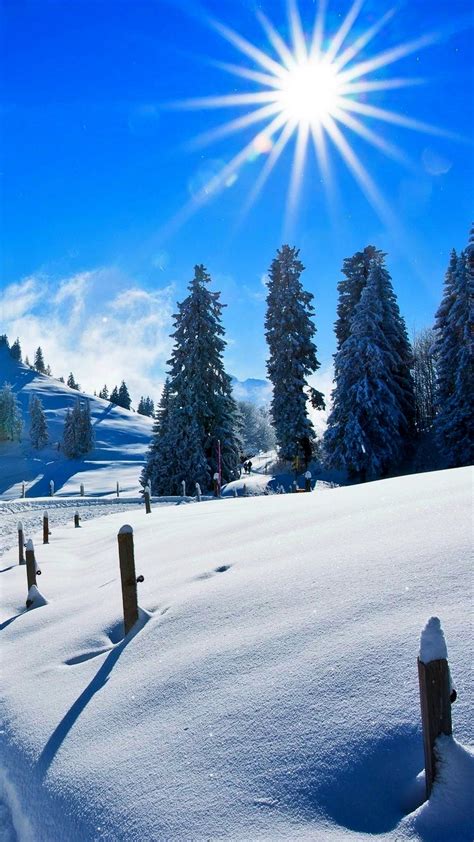 Sunny Winter Day Wallpapers Wallpaper Cave