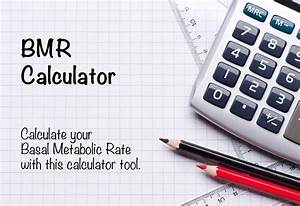 Bmr Calculator Basal Metabolic Rate And Daily Calorie Needs