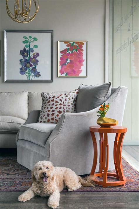 Adorable Pet Friendly Living Room Furniture Design Ideas Furniture