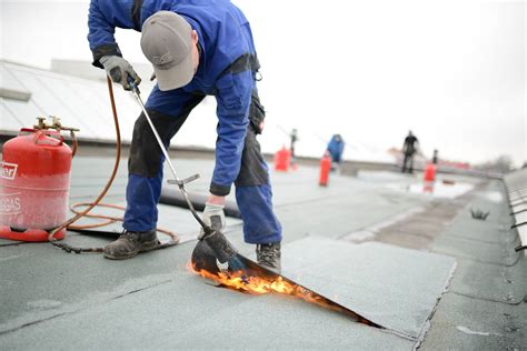 7 Flat Roof Maintenance Tips To Keep Your Roof In Good Shape