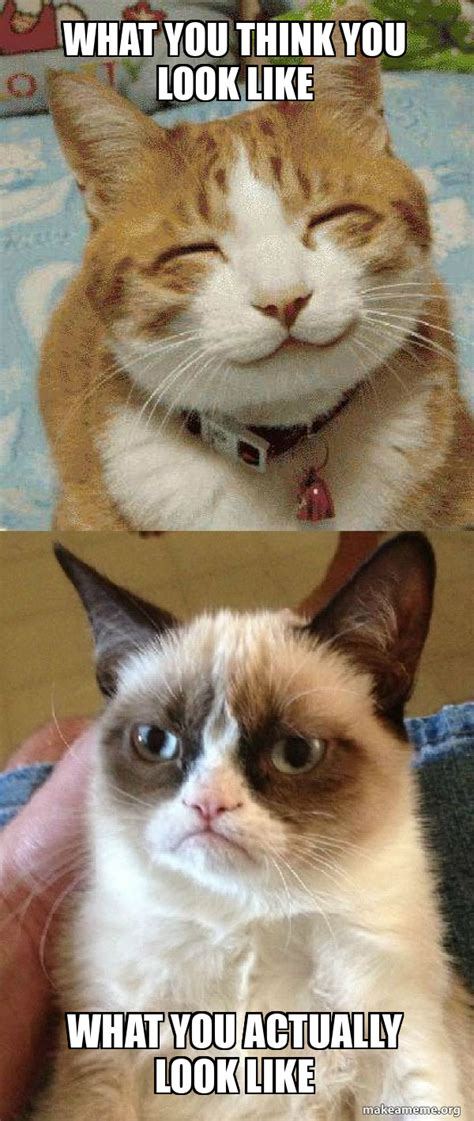 What You Think You Look Like What You Actually Look Like Grumpy Cat