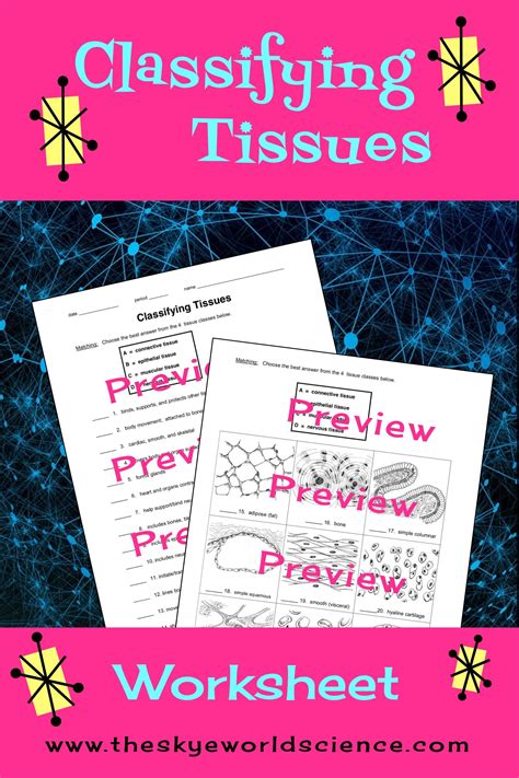 Classifying Tissues Worksheet Anatomy And Physiology Worksheets
