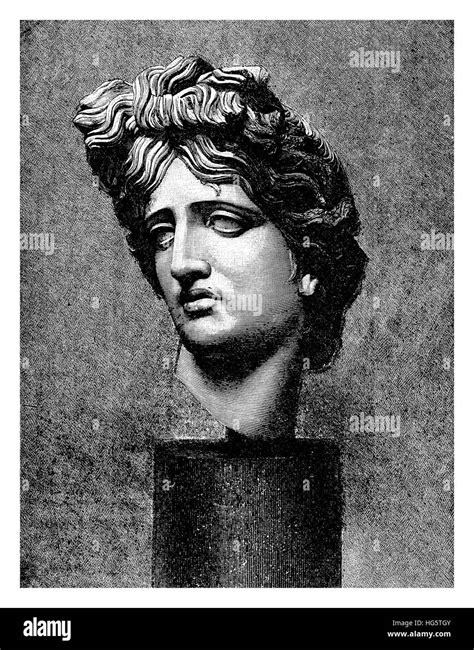 Apollo Belvedere Ancient Roman Marble Head Of 120 140 Ad Now In