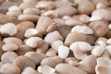 Sea Pebbles Background Natural Seashore Stones Stock Photo Image Of