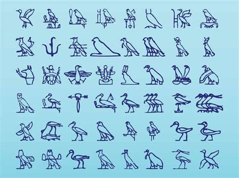 Egyptian Bird Hieroglyphics