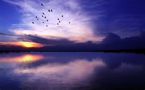 Wallpaper Sunlight Birds Sunset Sea Lake Nature Reflection Sky