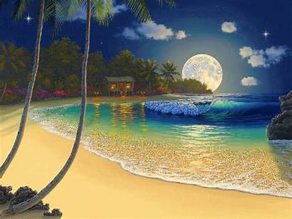 Plage Moon Tropical Night Beaches Oil Nature