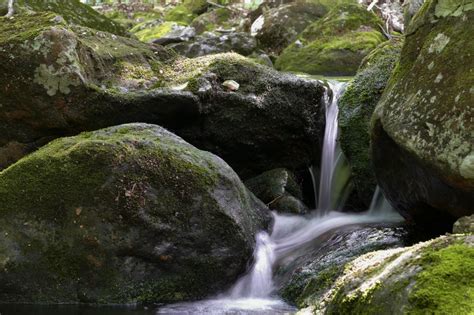 Free Images Landscape Nature Forest Rock Waterfall Wilderness