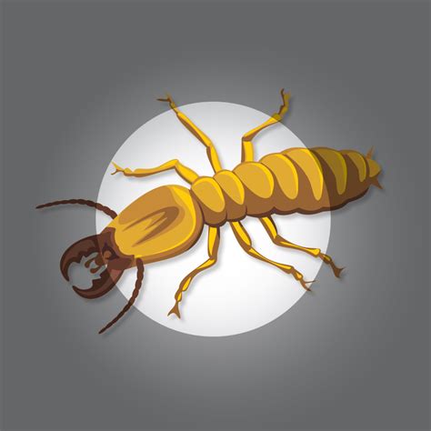Professional pest control in brentwood, ca. Pest Control Services | Extermination | Mice | Insects ...
