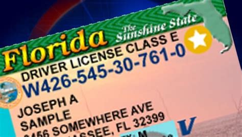 Real Id New Florida Drivers License Design