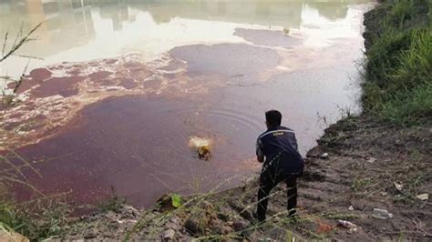 Property investment firm in kuala lumpur, malaysia. Pollution detected in Klang River, believed to be chemical ...