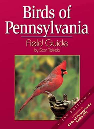 With over 600 bird species in britain alone, we are spoilt with the amount of wildlife that is right on our doorstep. Birds of Pennsylvania Audio CDs, Pennsylvania Bird ...