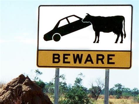 10 Weird Road Signs That You Wont Believe Exist By Fremont Insuran