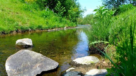 Wallpaper Lake Grass Stones River Summer Stream Nature Reserve