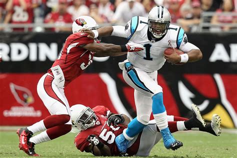 Panthers Vs Cardinals What Does The Data Tell Us Cat Scratch Reader