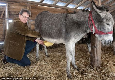 Donkey Cheese Anyone At £1000 A Kilo Its The Most
