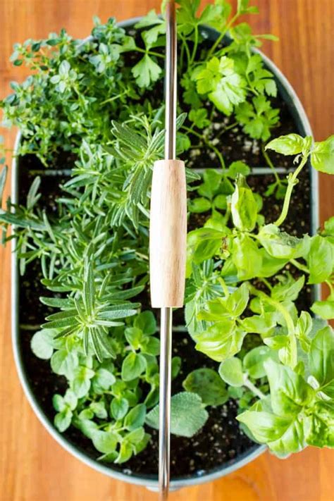 Beautiful Container Herb Gardens