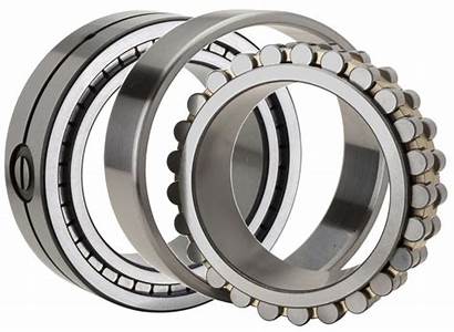 Bearings Double Row Roller Cylindrical Bearing Nsk