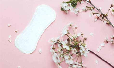 Pembalut Herbal Benarkah Dapat Atasi Bau Miss V Saat Menstruasi