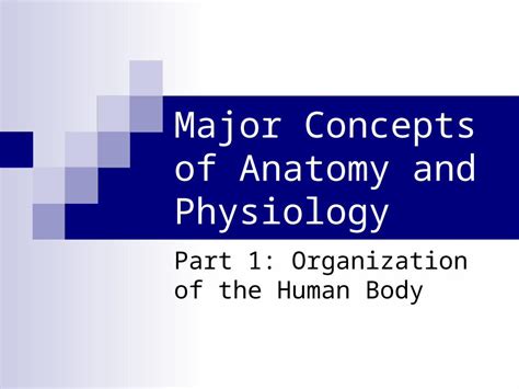 Ppt Major Concepts Of Anatomy And Physiology Part 1 Organization Of