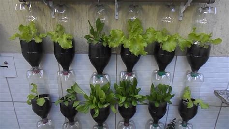 Hidroponik (hydroponics) merupakan cara bercocok tanam tanpa menggunakan tanah sebagai media tanamnya. Tren Gaya 29+ Tanam Sayur Di Botol Bekas
