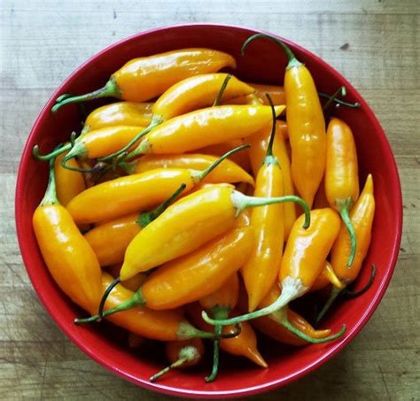Aji Amarillo All You Need To Know About This Chili Pepper Cooked Best