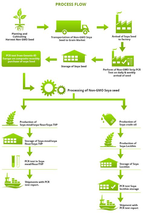 Why Gmo Process Vippy Soya