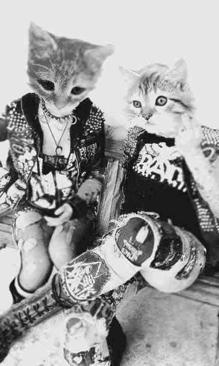 Kitty Punk Punk Goth Punk Rock Animal Heads