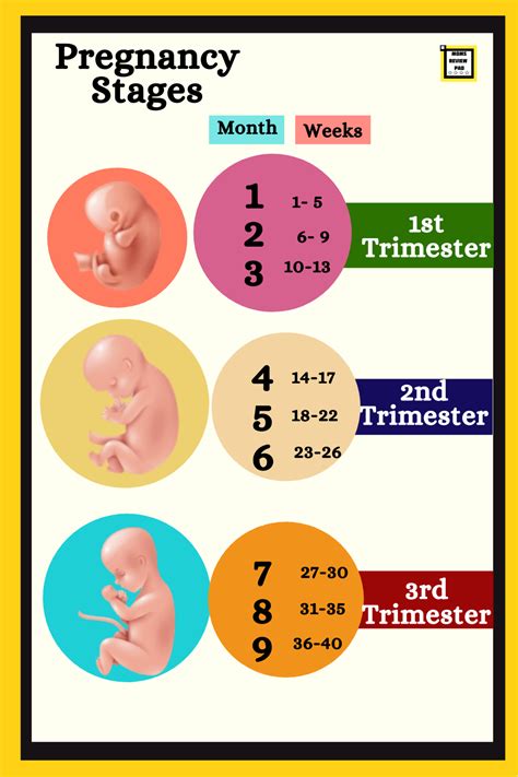 Pregnancy care tips first 3 months in urdu. Pin on Baby Care Tips