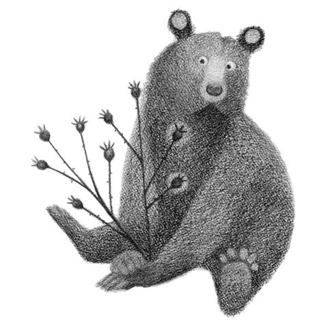 Pictures And Words From A Wild Garden In 2024 Black Bears Art Bear