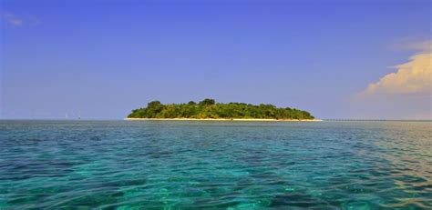 Lebih daripada 3,000 spesies ikan dan 600 hidupan marin yang. Surga Keindahan Alam Bawah Laut Indonesia - Flora dan Fauna