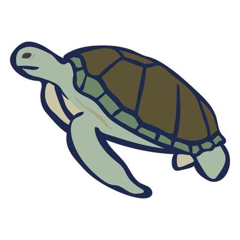 Flat Turtle Swimming Transparent Png And Svg Vector File