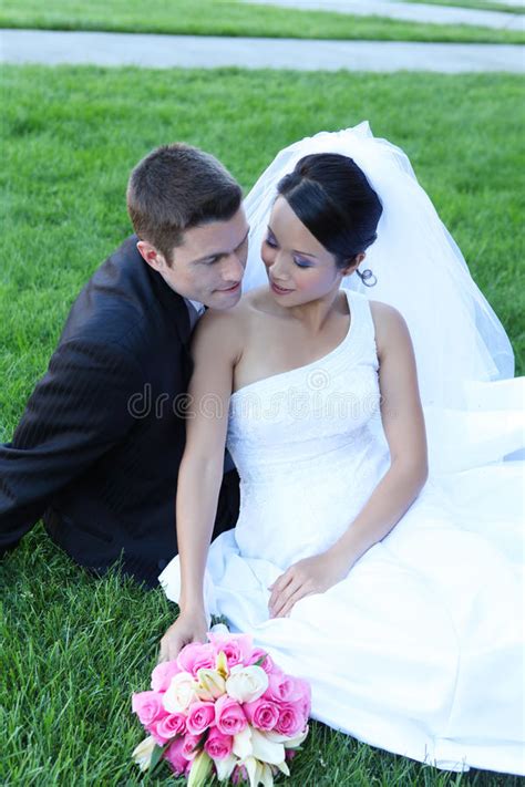 Bride And Groom Kissing On Park Bench Stock Image Image Of Bride Passion 3780805